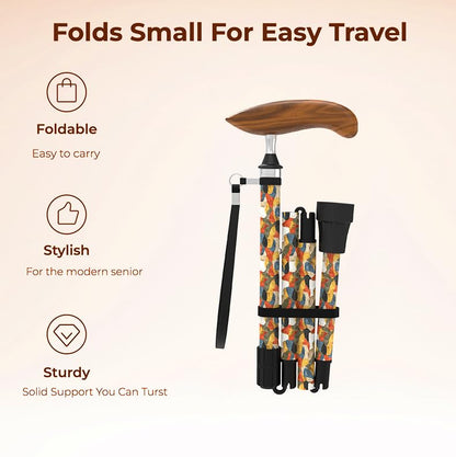 Intercare Folding Cane — Artistic Print